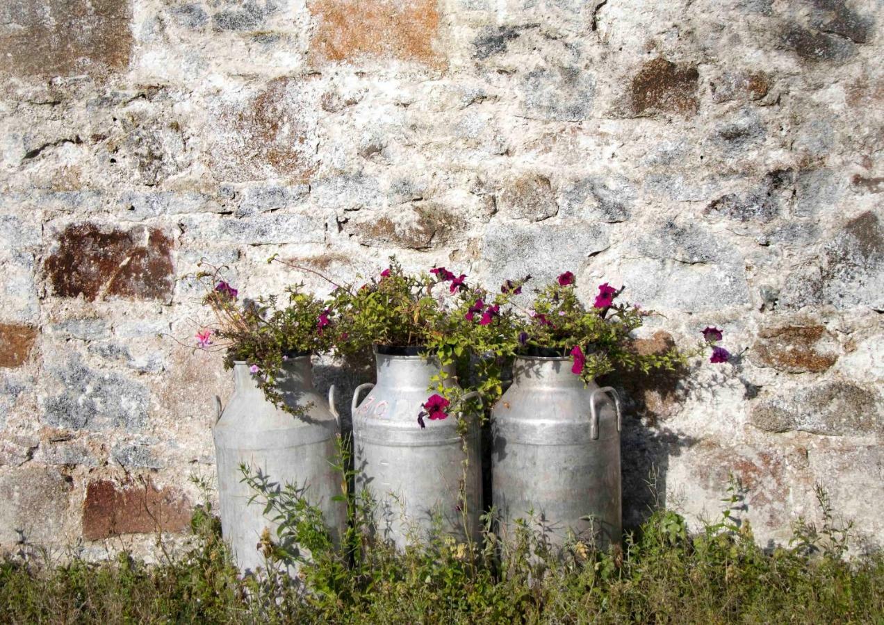 Bramble Cottage Rathfriland Exterior foto